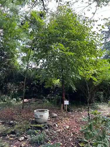 東輪寺(栃木県)