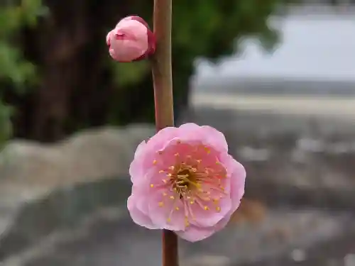 大蓮寺(兵庫県)