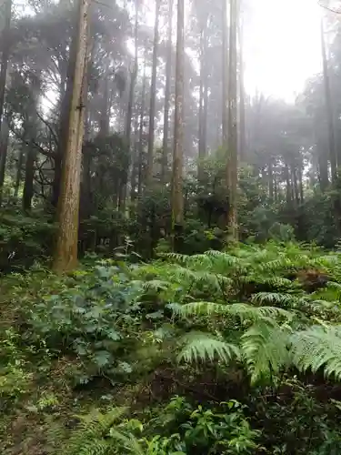 山神社(鹿児島県)