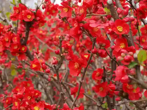 三毳不動尊の周辺