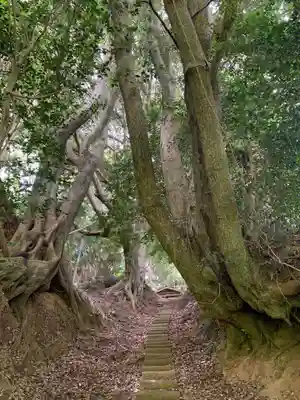 浅間神社の自然