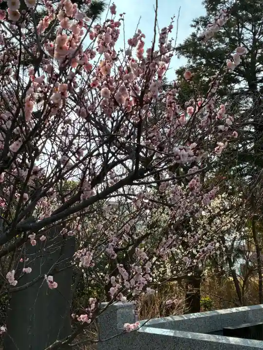 日枝天満宮の{uncategorized: "未分類", other: "その他", undefined: "問題あり", building: "その他建物", grave: "お墓", sacred_gate: "鳥居", guardian: "狛犬", statue: "像", buddha: "仏像", history: "歴史", nature: "自然", garden: "庭園", animal: "動物", pagoda: "塔", temizu: "手水舎", mountain_gate: "山門・神門", sanctuary: "本殿・本堂", subordinate: "末社・摂社", art: "芸術", scenery: "景色", jizo: "地蔵", ema: "絵馬", goshuin: "御朱印", omikuji: "おみくじ", items: "授与品その他", amulet: "お守り", goshuincho: "御朱印帳", eats: "食事", festival: "お祭り", votive_dance: "神楽", shichigosan: "七五三参", wedding: "結婚式", experience: "体験その他", initially: "初詣", around: "周辺", anti_infection: "感染症対策"}
