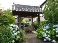 入覚寺(愛知県)