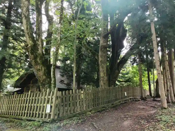 諏訪大社上社前宮の本殿・本堂