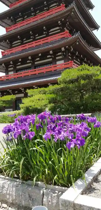 蓮華院誕生寺奥之院の自然