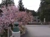 飛驒一宮水無神社(岐阜県)