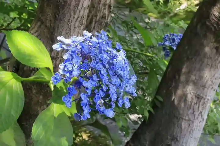 天得院(京都府)