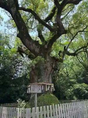 熱田神宮(愛知県)