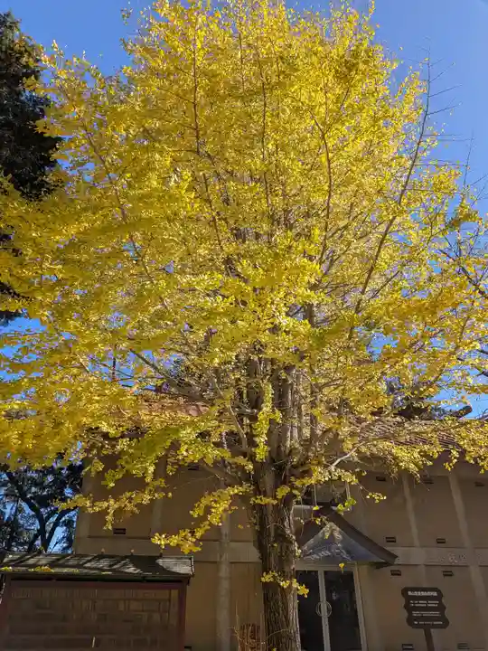冨士御室浅間神社(山梨県)