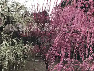 結城神社(三重県)