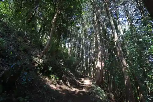 須我神社の自然