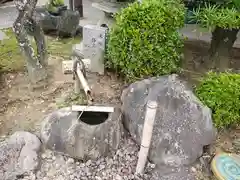 大池寺の建物その他