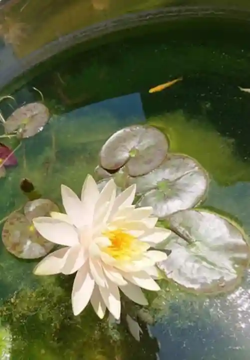 眞隆寺(千葉県)