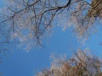 西運寺(愛知県)