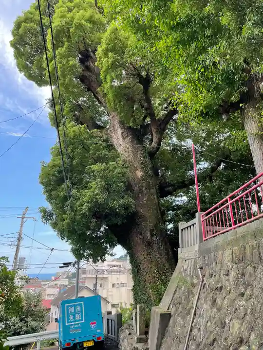 産土八幡神社(神奈川県)