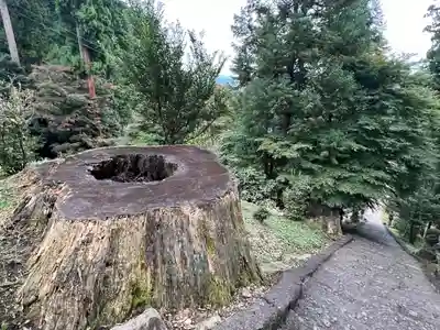 妙義神社(群馬県)