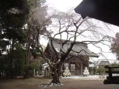 常陸第三宮 吉田神社(茨城県)