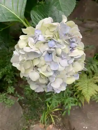 福徳神社（芽吹稲荷）(東京都)