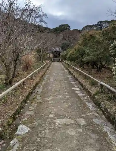 浄瑠璃寺(京都府)