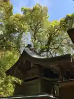 熊野神社の本殿・本堂