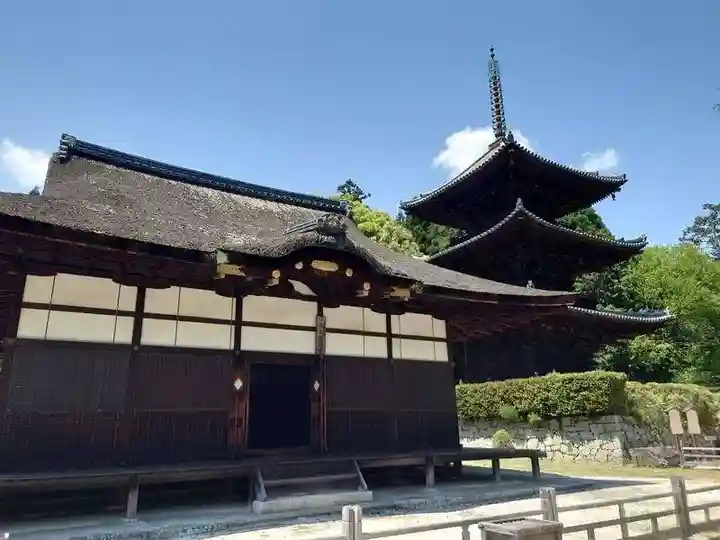 園城寺(三井寺)(滋賀県)
