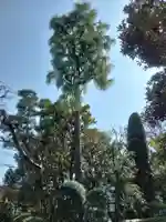 本光寺(東京都)