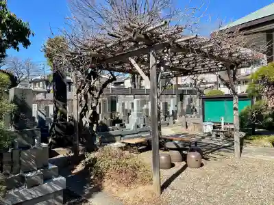 善仁寺(東京都)