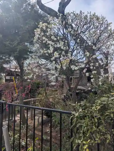 白山神社(東京都)