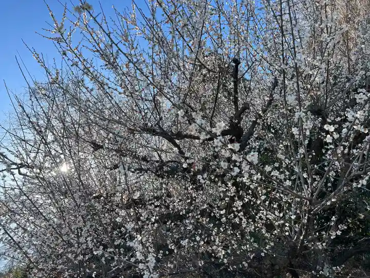 太山寺(栃木県)