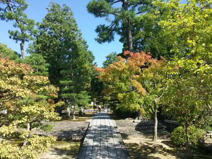 智積院の庭園
