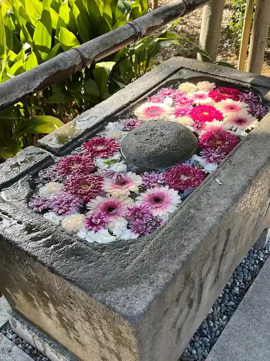 所澤神明社の手水舎