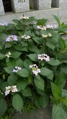 阿部野神社(大阪府)