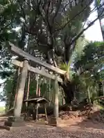 熊野神社(千葉県)
