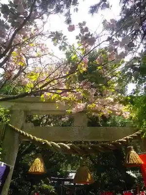 八雲神社（鎌倉・大町）の鳥居