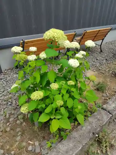 諏訪神社(宮城県)