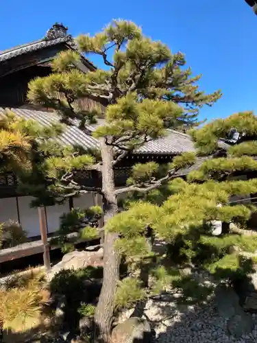 十輪寺の庭園