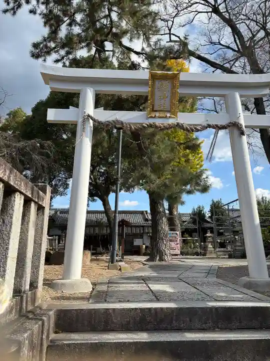 縣神社(京都府)