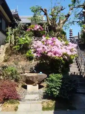 静照寺(大阪府)