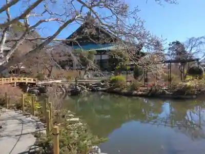 時宗総本山 遊行寺（正式：清浄光寺）(神奈川県)