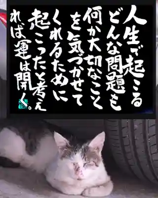 専念寺(大阪府)