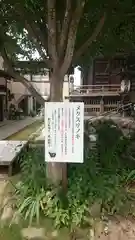 秩父札所十三番 慈眼寺の建物その他