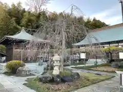 竺園寺(千葉県)