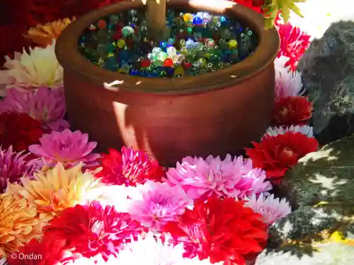 岡寺（龍蓋寺）(奈良県)