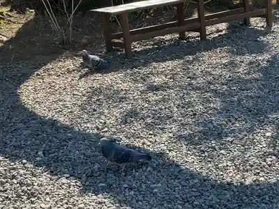 本郷氷川神社(東京都)