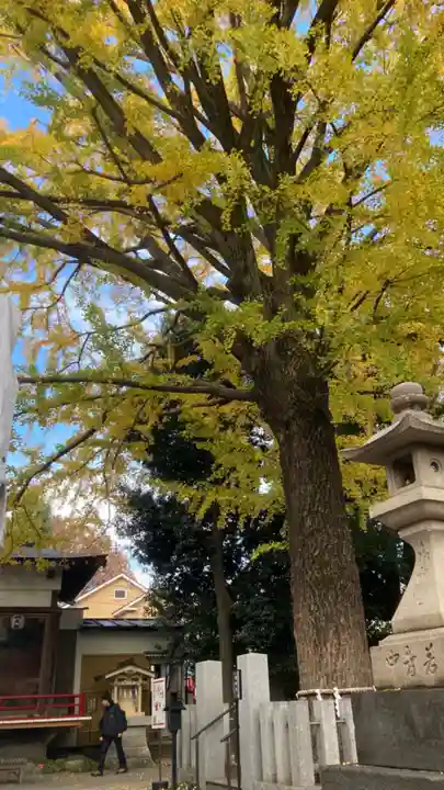 田無神社(東京都)