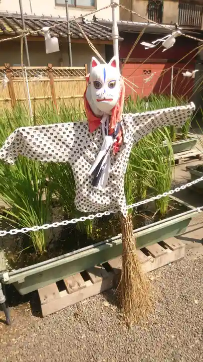 浅草神社(東京都)