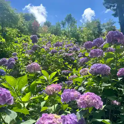鷲子山上神社(栃木県)