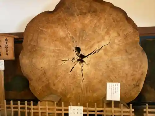 高野山金剛峯寺の自然