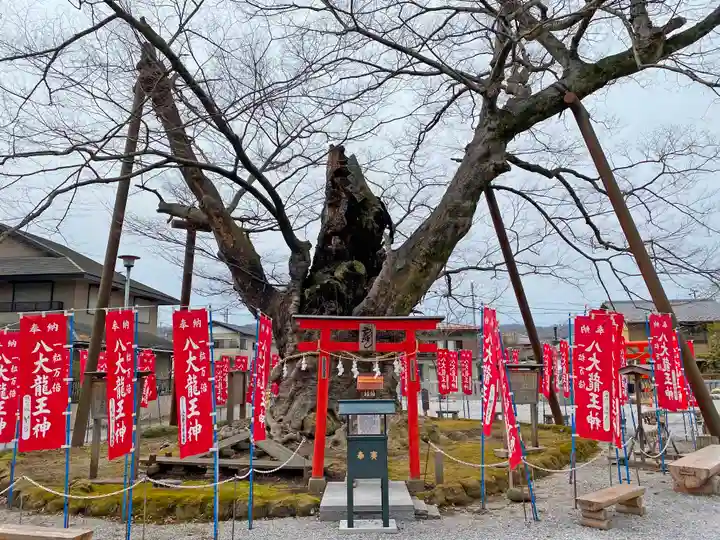秩父今宮神社の自然