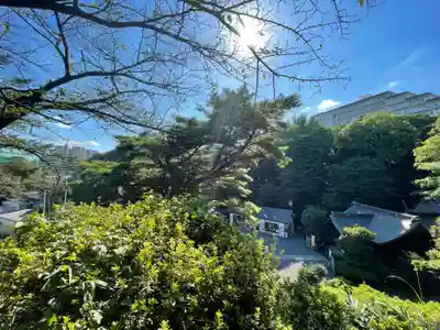 武州白子熊野神社(埼玉県)